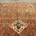 860 5509 ORIENTAL RUG